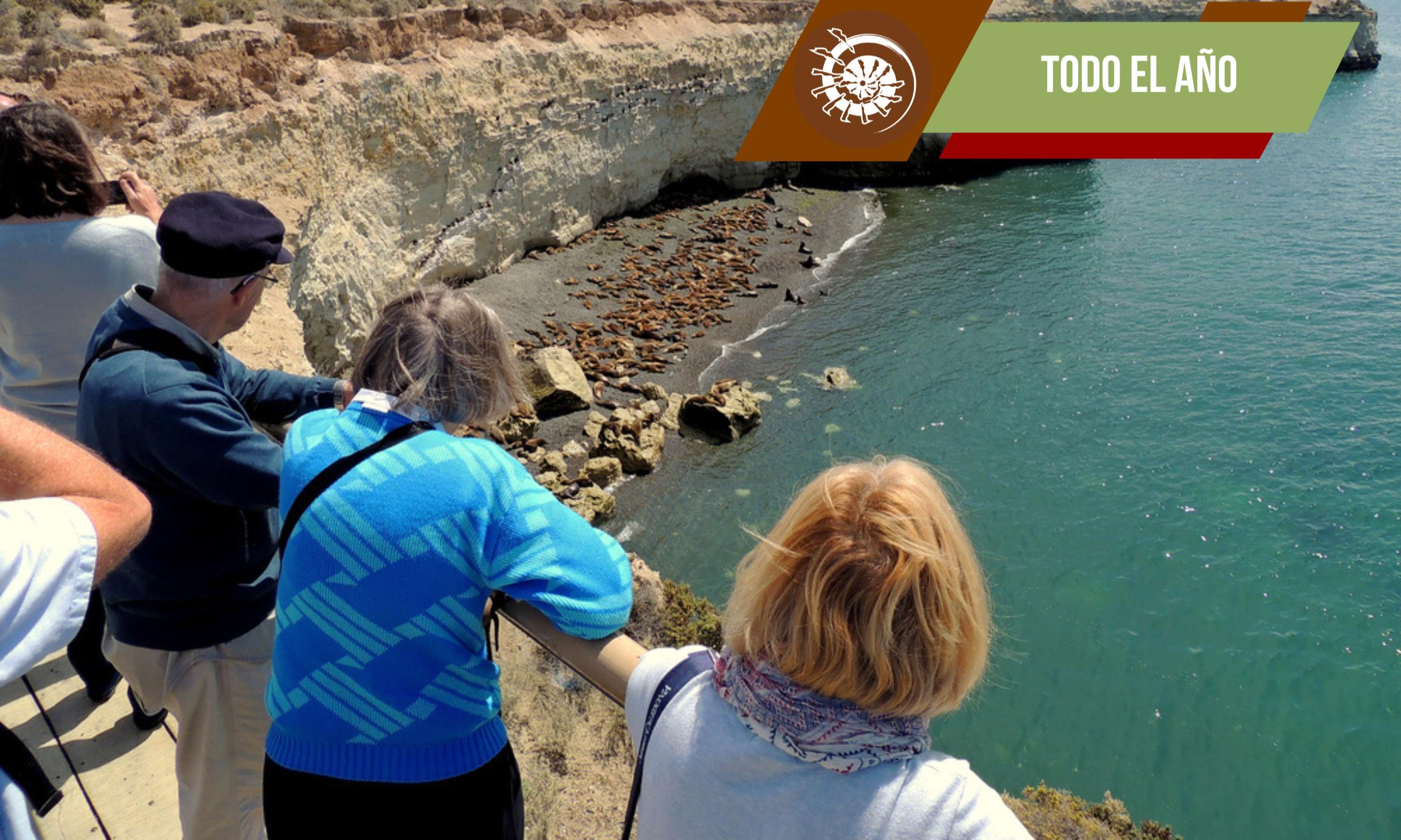 Excursión Punta Loma