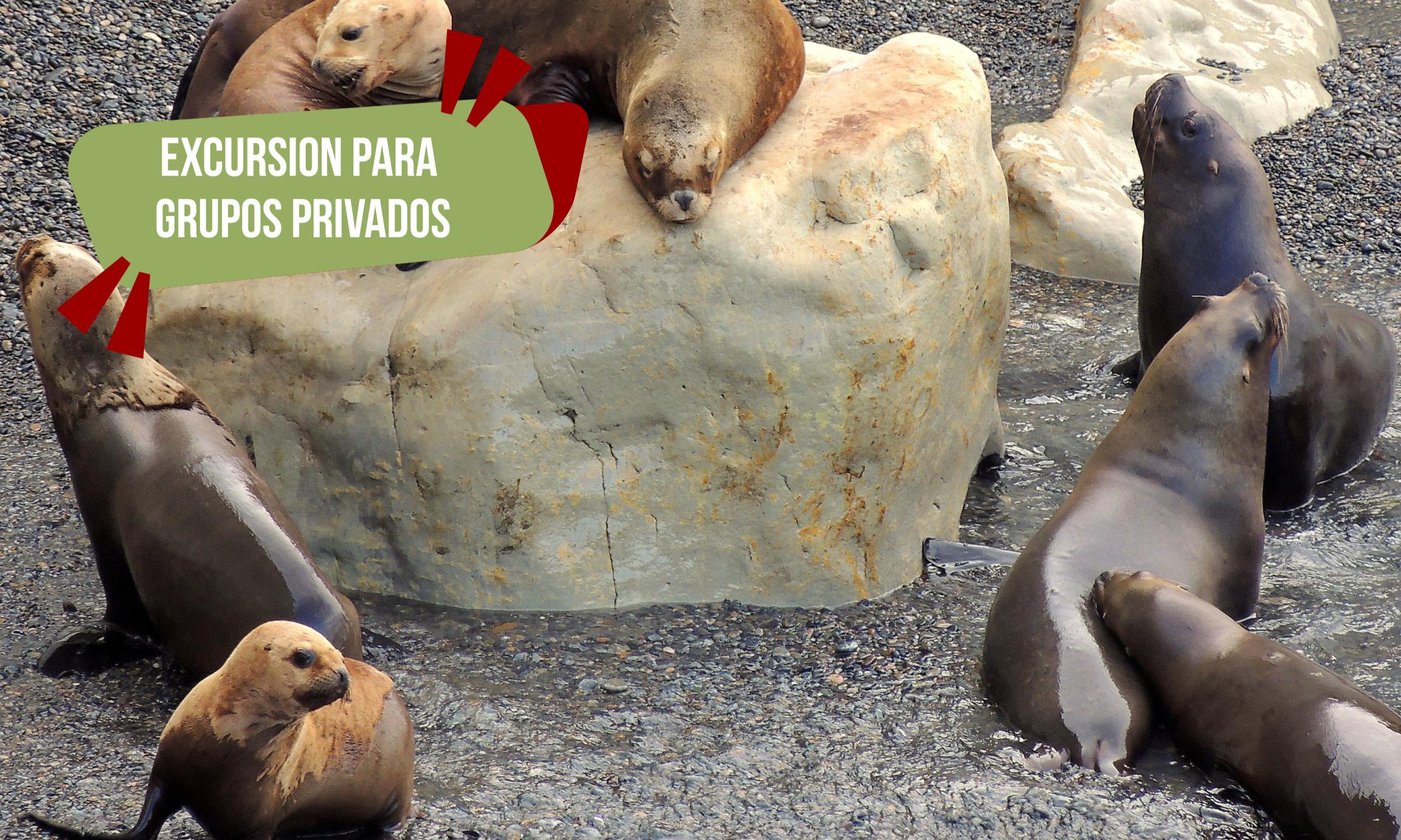 Excursión Punta Loma + City