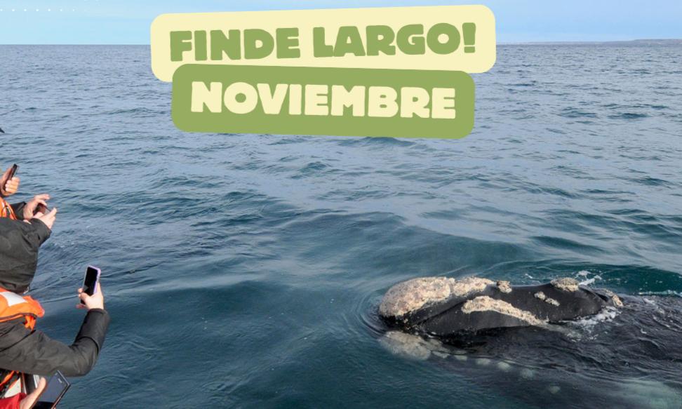 Finde Largo de Noviembre!!!