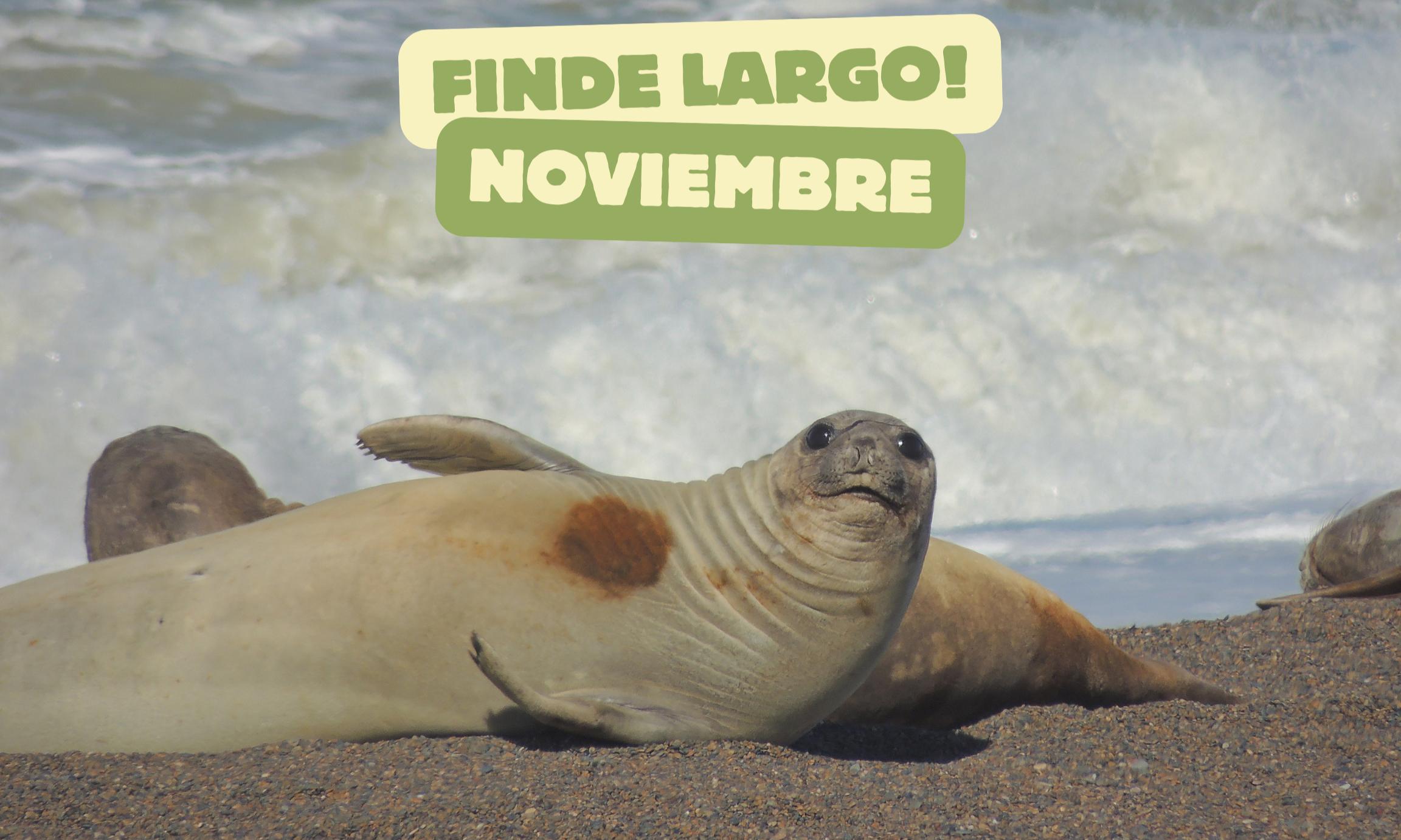 PROMO FINDE Largo NOVIEMBRE!