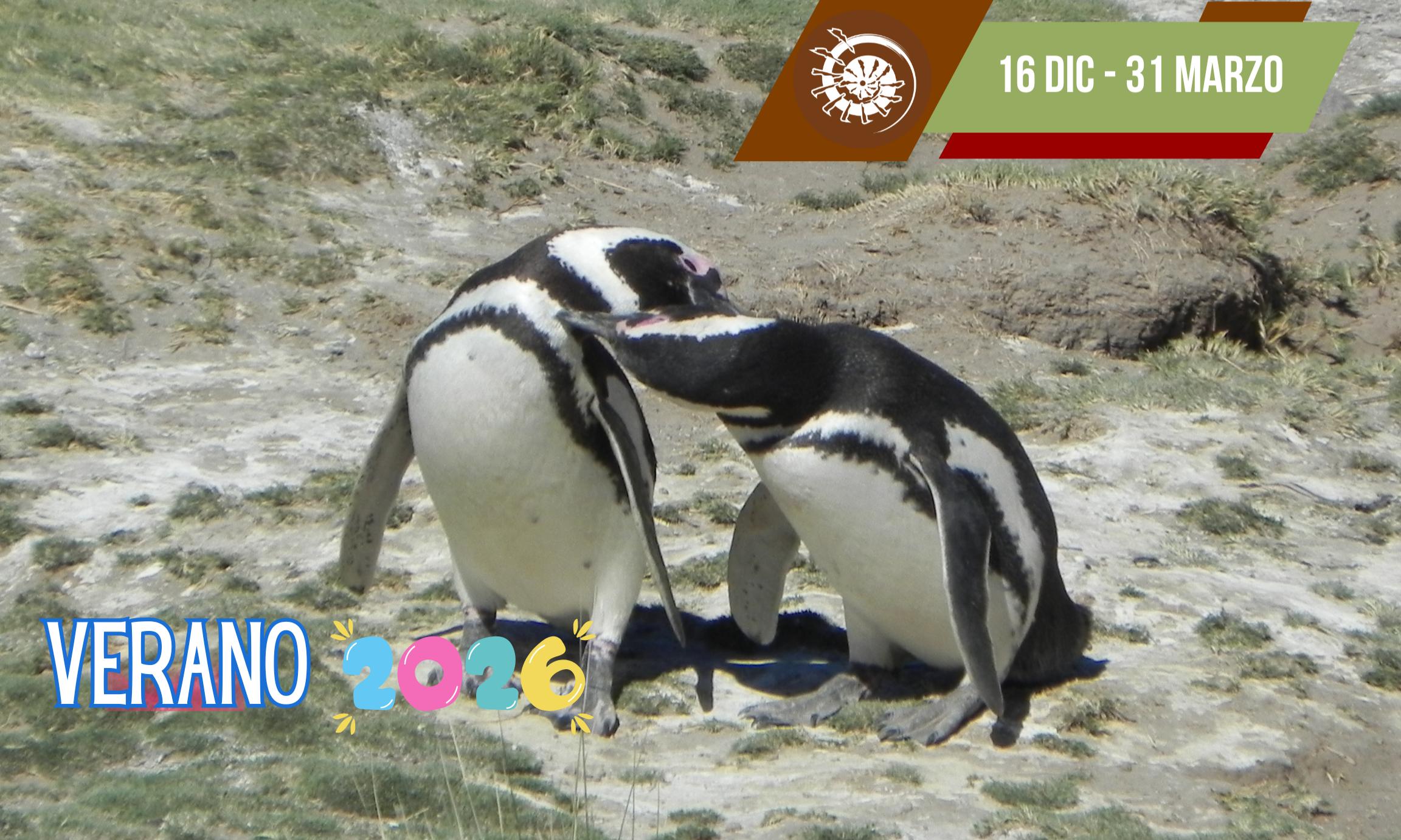 Excursión Punta Tombo