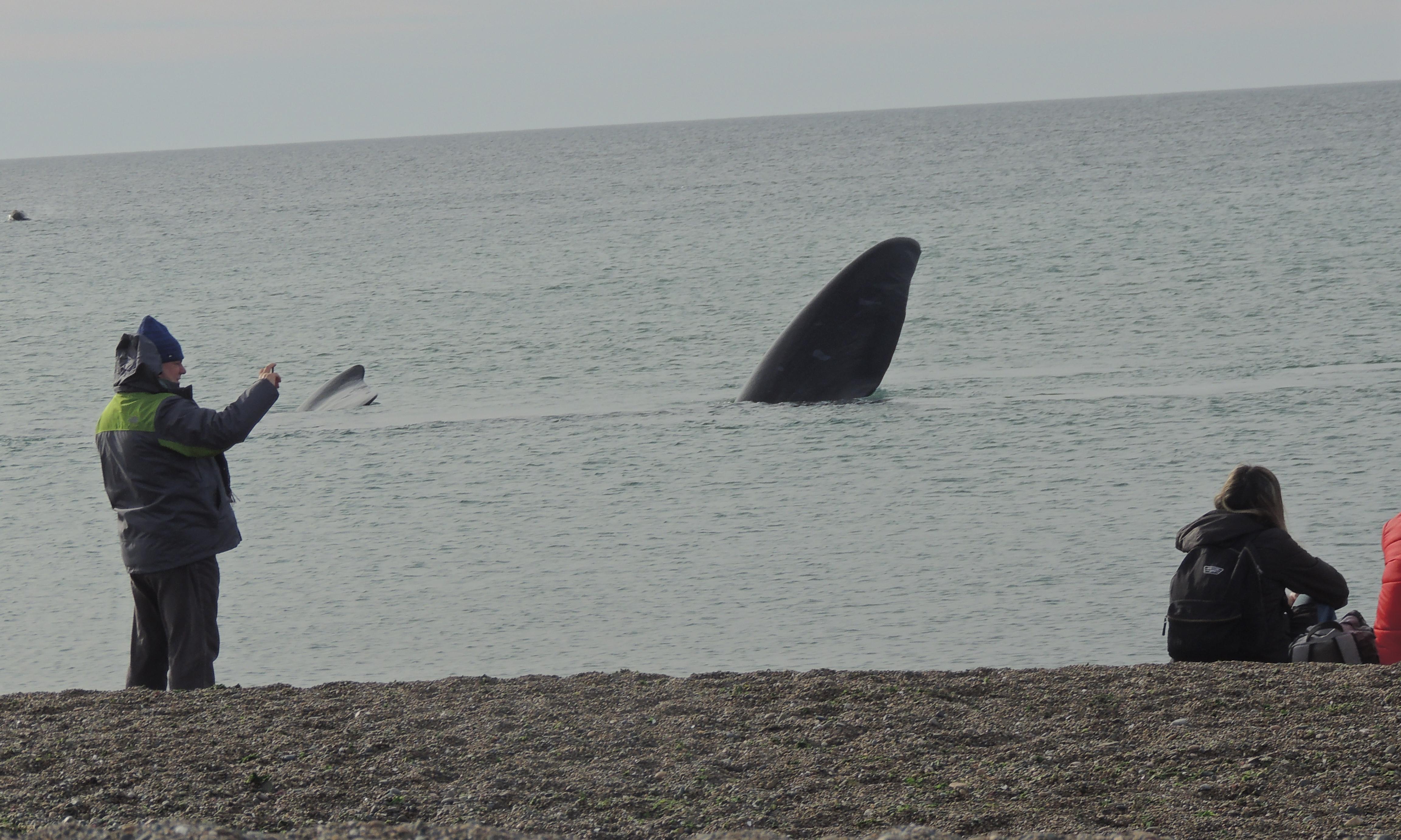 Excursión El Doradillo