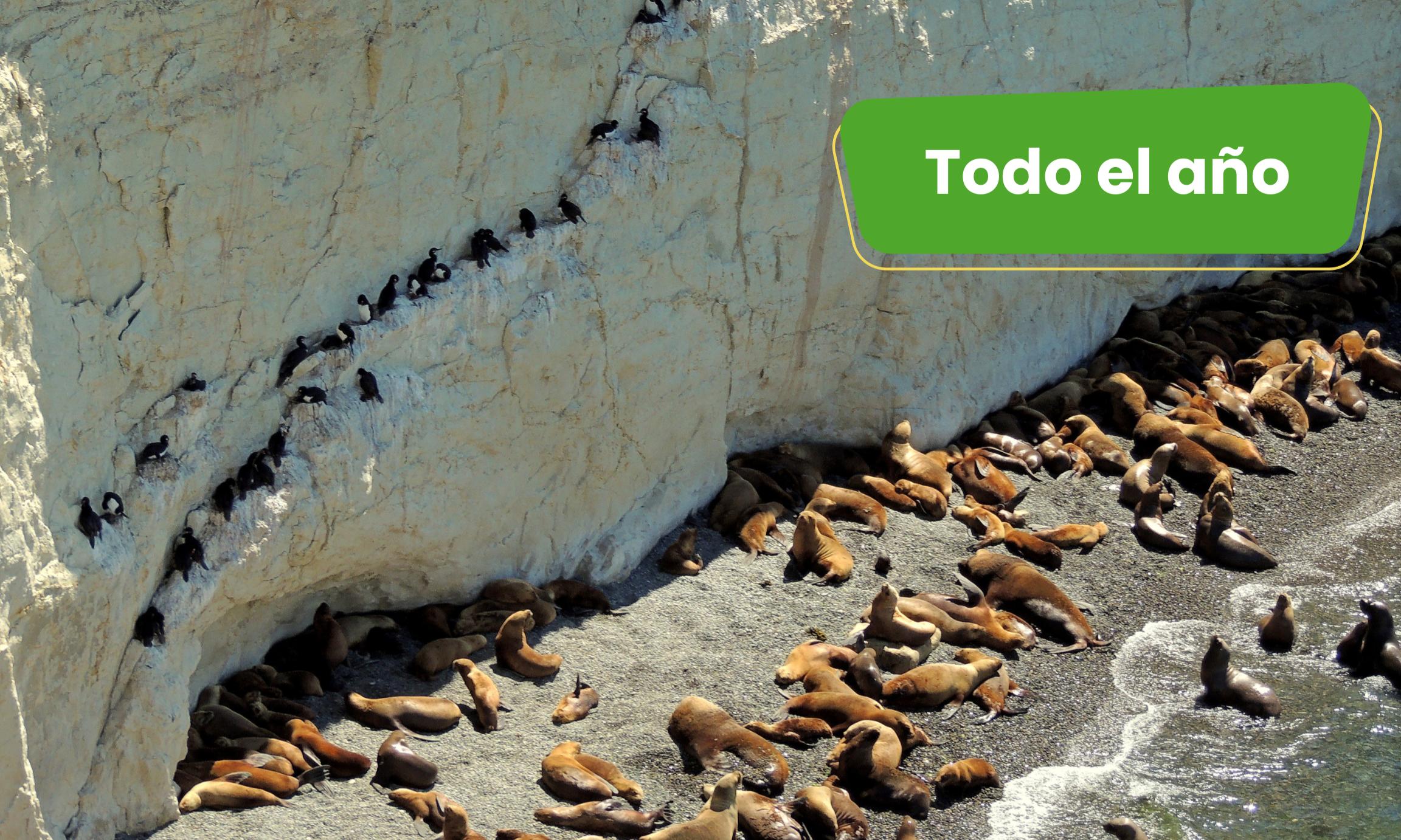 Excursión Punta Loma 