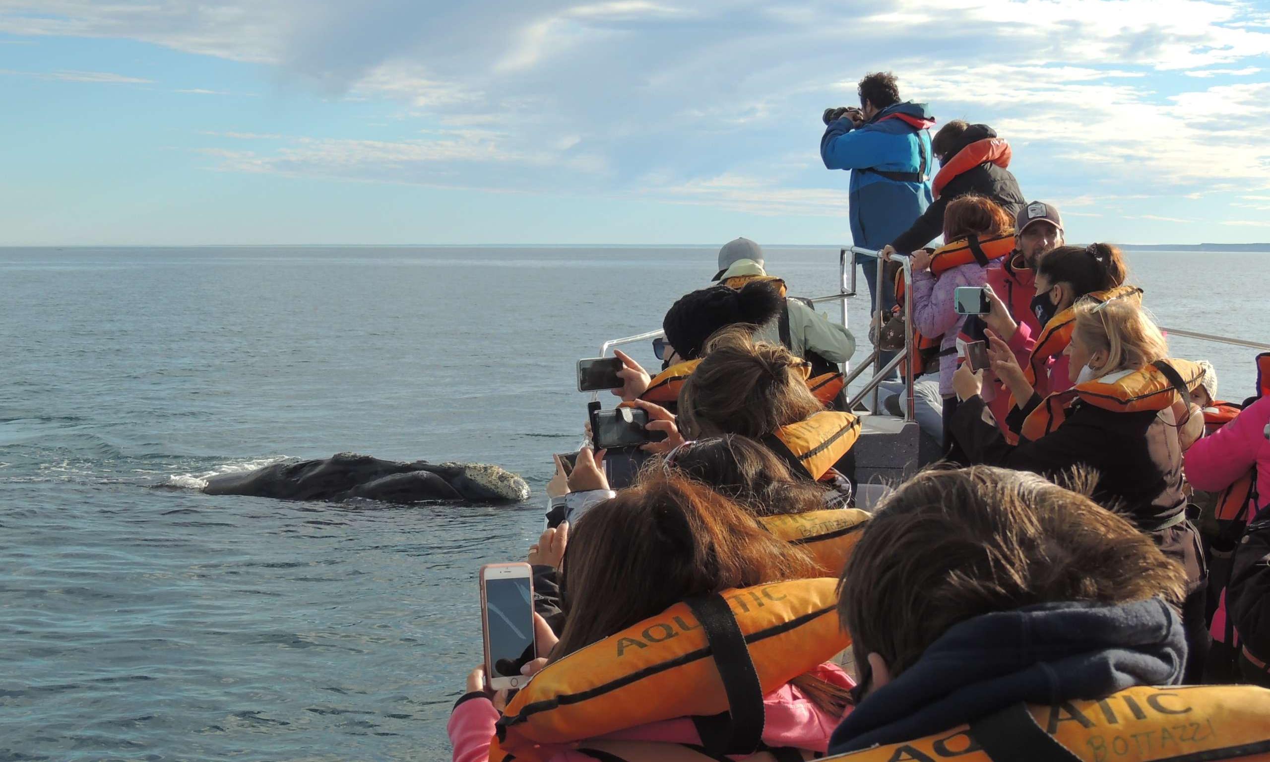 Excursión Puerto Pirámides