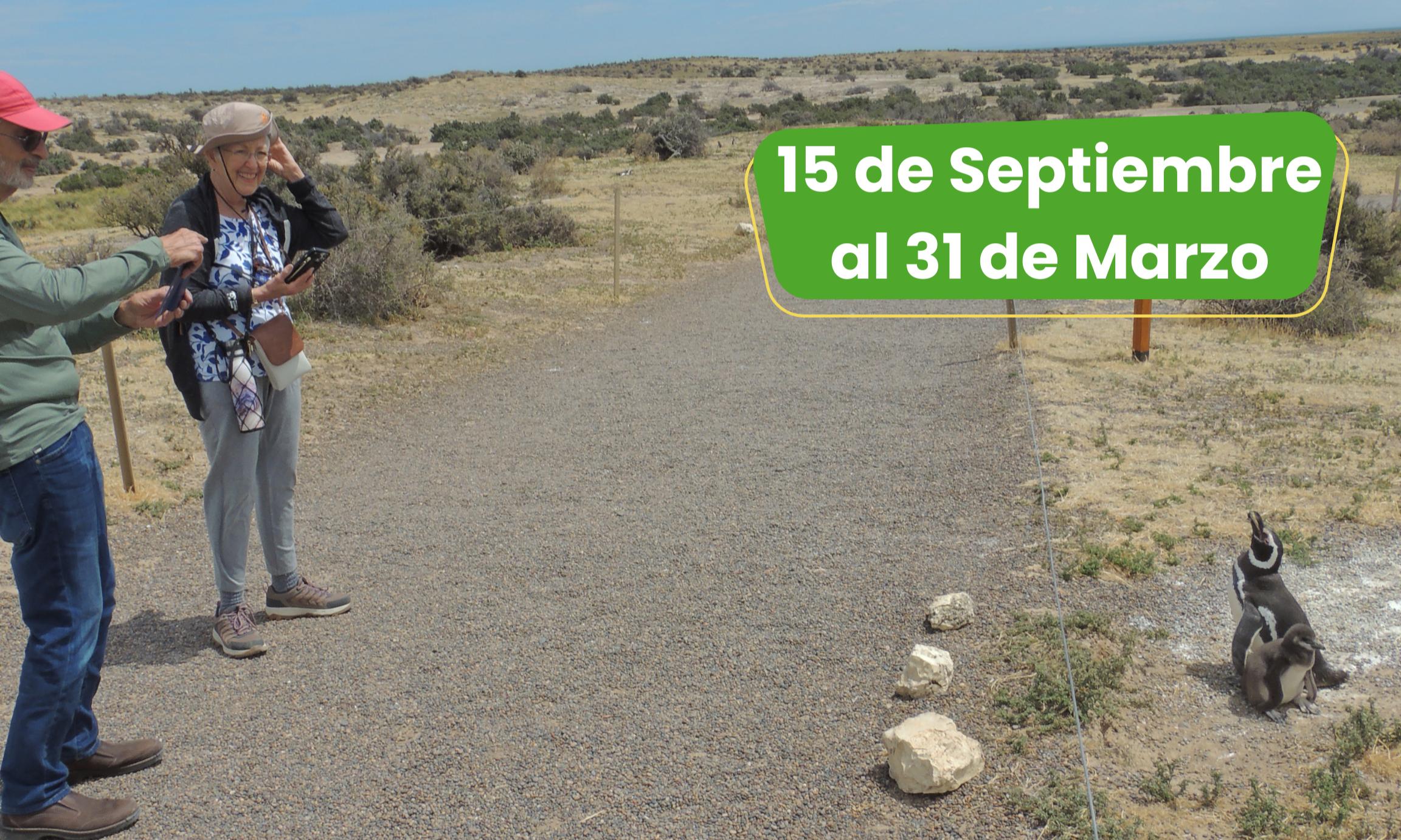 Excursión Punta Tombo