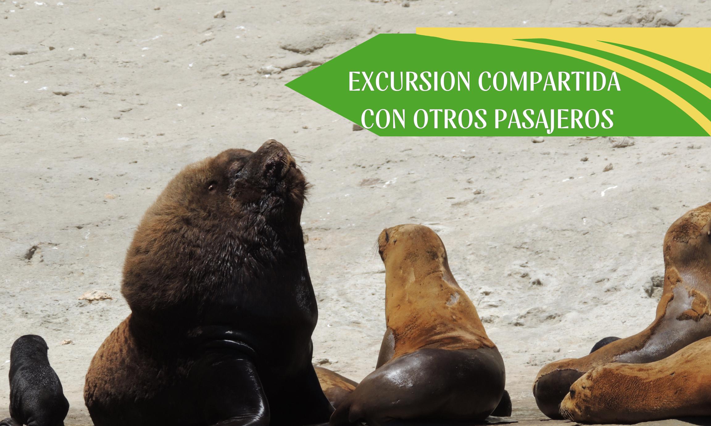 Excursión Punta Loma + City