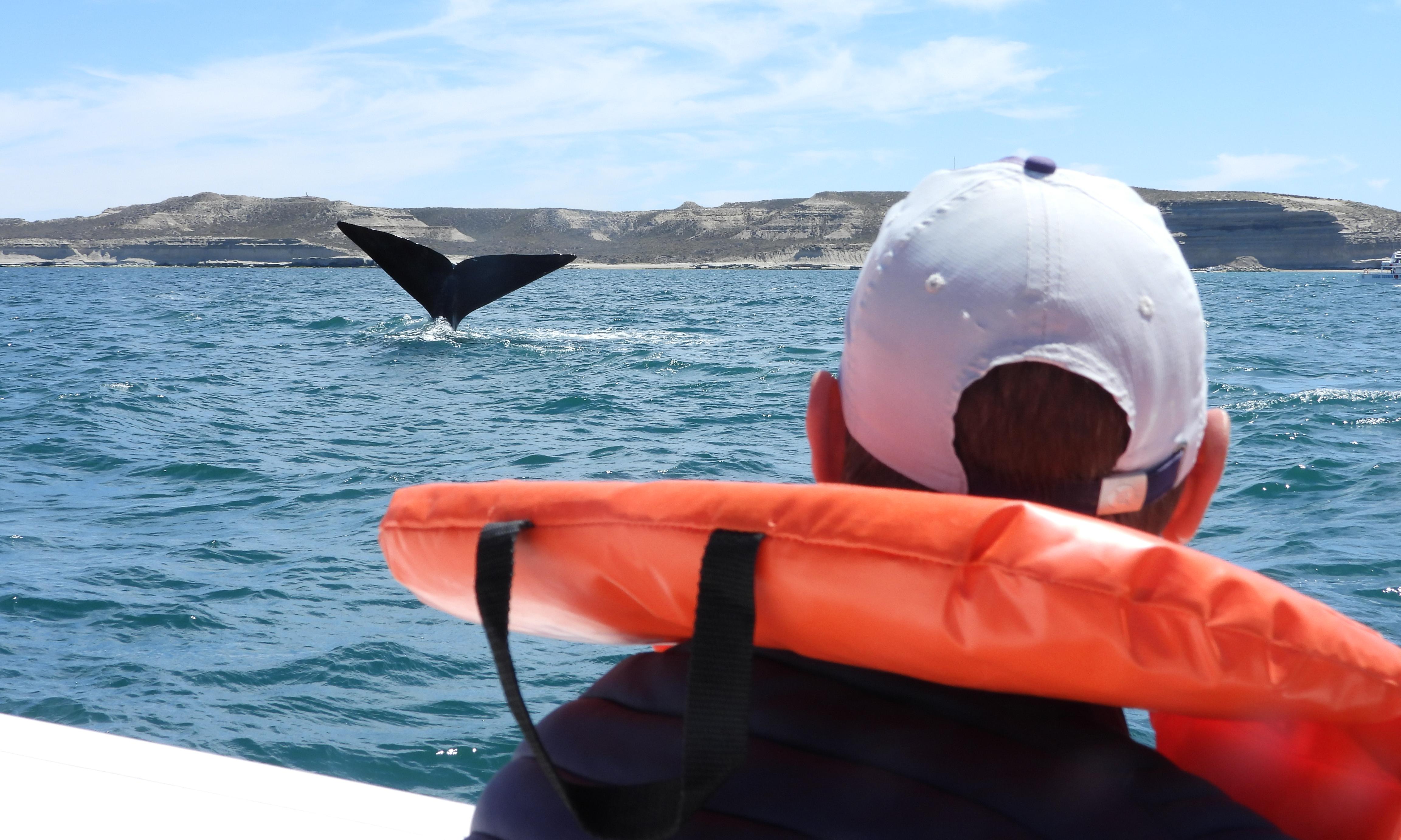 Excursión Península Valdés + Pingüinos San Lorenzo