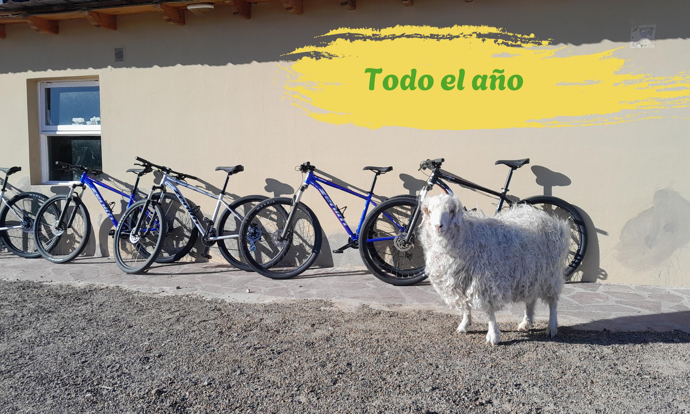 Todo Bici