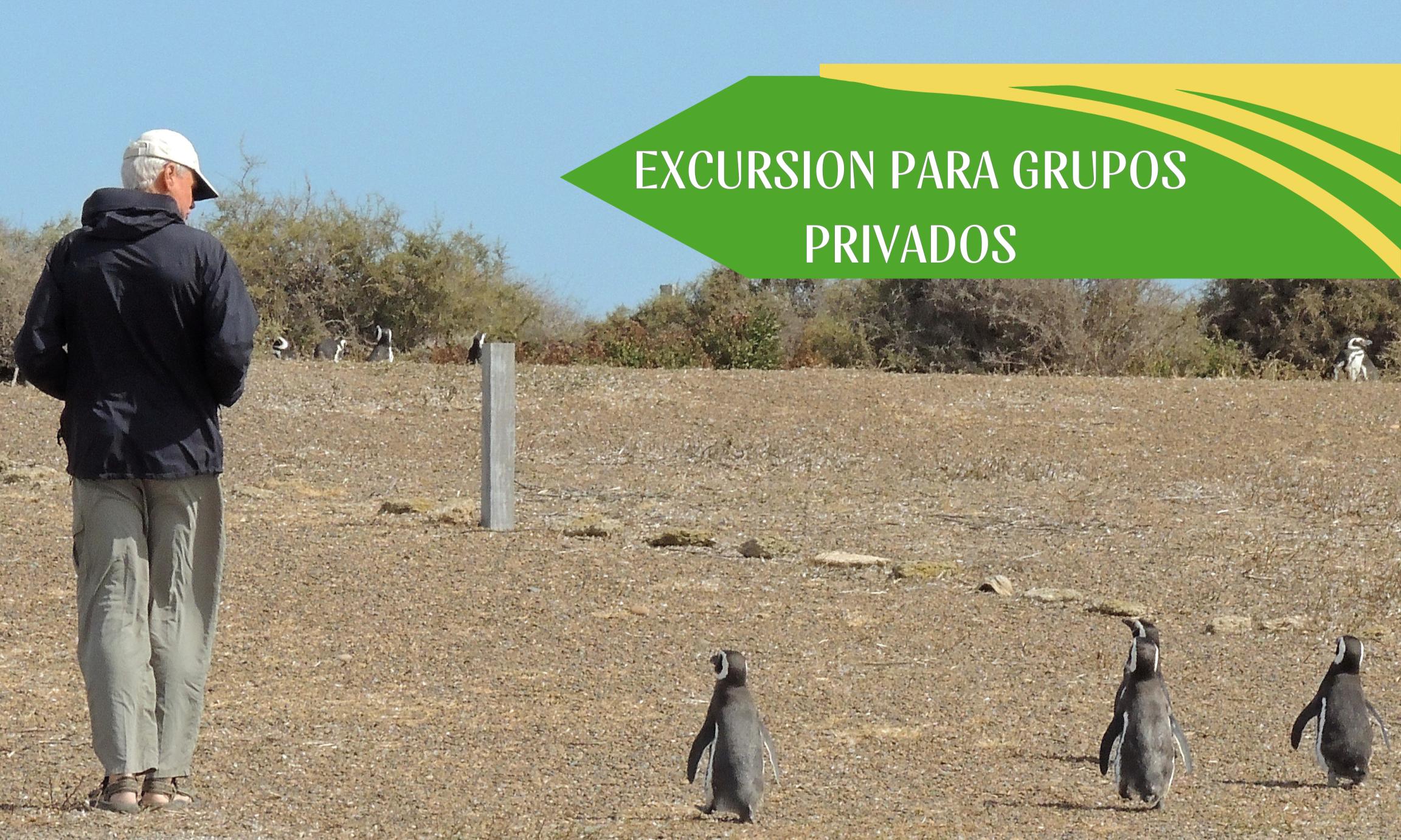 Estancia San Lorenzo + City 