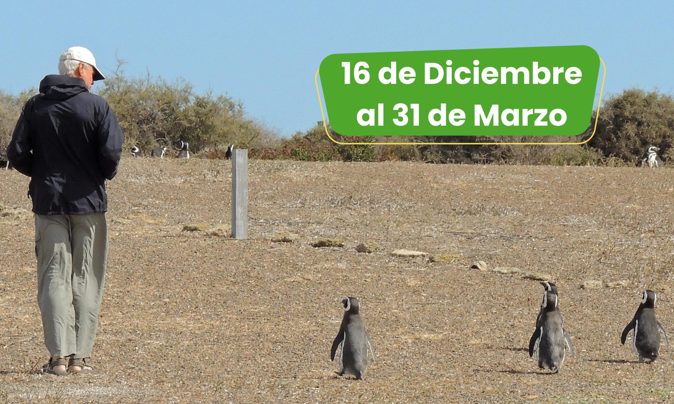 Estancia San Lorenzo y Punta Norte