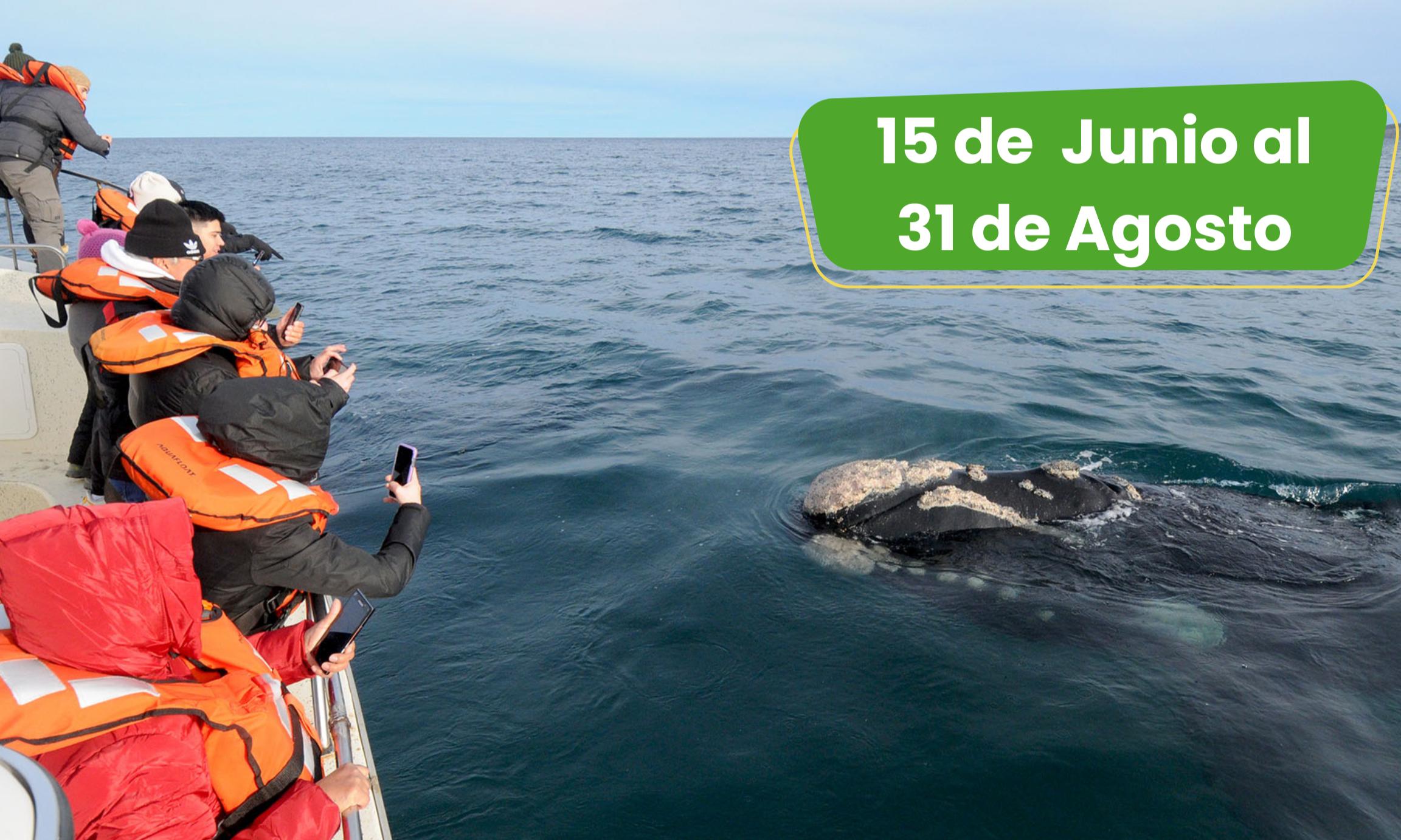 Excursión Península Valdés 